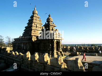 Shore Tempel mit Nandi in Mahabalipuram in der Nähe von Chennai; Madras, Tamil Nadu, Südindien, Indien. UNESCO Weltkulturerbe. Stockfoto