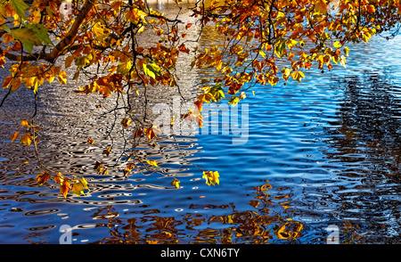 Buntes Bild eines Kanals im Herbst befindet sich in Amsterdam. Stockfoto