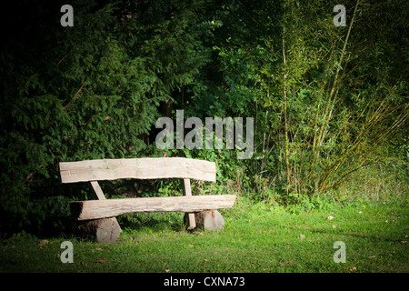Parkbank, einsamen und abgelegenen mit einem grünen Natur als Kulisse. Stockfoto