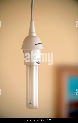 Eine energiesparende kompakte Leuchtstoff Glühlampe UK (CFL) Stockfoto