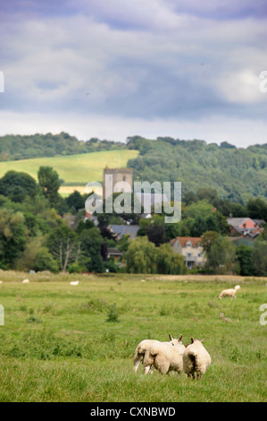 Das Dorf Leintwardine, Herefordshire UK Stockfoto