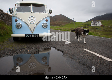 Volkswagen Wohnmobil auf der Insel Harris, mit Schäferhund und Pfütze, äußeren Hebriden, Schottland Stockfoto