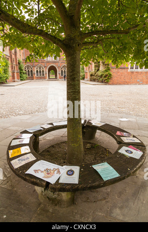 Mitteilungen an runde Sitzbank um Baum am Winchester College angeheftet Stockfoto