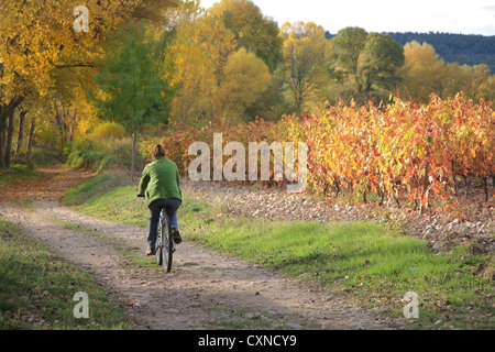 Rioja Wein Region, Radfahren während der Herbstsaison, Spanien, Stockfoto