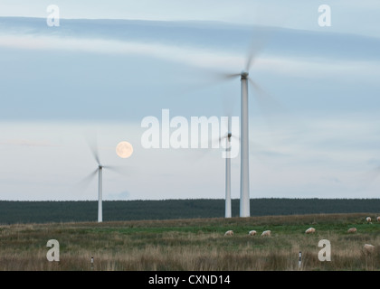 Windkraftanlagen auf Dun Gesetz Hügel Stockfoto