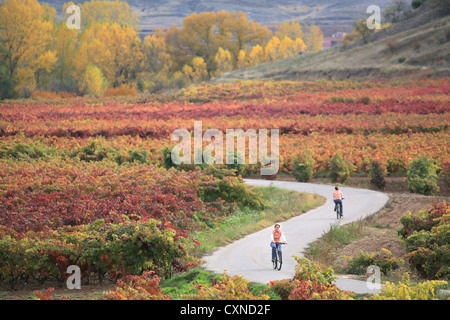 Rioja Wein Region, Radfahren während der Herbstsaison, Spanien, Stockfoto