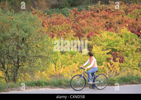 Rioja Wein Region, Radfahren während der Herbstsaison, Spanien, Stockfoto