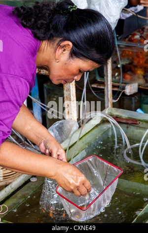 Frau verkaufen Spielzeug Fische auf dem Vogelmarkt in Indonesien Stockfoto