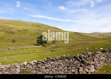 Die englischen Lake District - neben der Straße namens The Struggle von Ambleside Kirkstone, Cumbria, UK Stockfoto