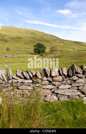 Die englischen Lake District - neben der Straße namens The Struggle von Ambleside Kirkstone, Cumbria, UK Stockfoto