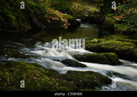 Der Fluss Devon eilt durch die Schlucht zu rumpeln Brücke in der Nähe von Kinross in Schottland. Stockfoto