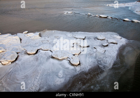 Winter im Kampinos in der Nähe von Warschau, Masowien, Polen, Europa, Weichsel Stockfoto