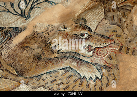 Israel, unteren Galiläa Bodenmosaik des Tieres aus der Zeit der Mischna im Zippori National Park Stockfoto