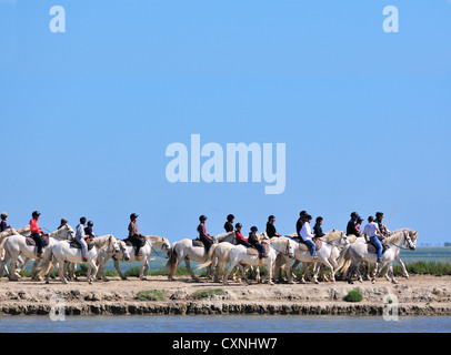 Urlauber bei einem organisierten Ausflug reiten (auf Pferden reiten entlang der etanges und Sümpfe in der Camargue, Südfrankreich Stockfoto