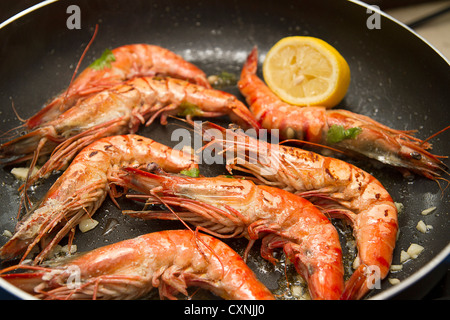 Frische Garnelen in einer Pfanne Stockfoto