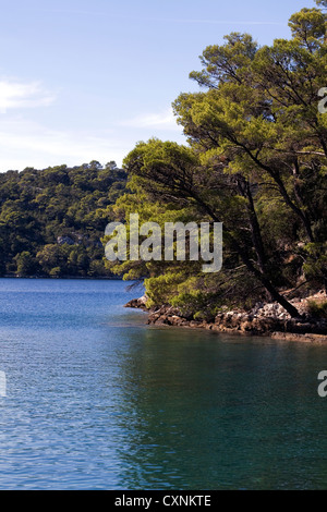 Veliko Jezero Mljet Nationalpark in der Nähe von Polace Mljet Insel Kroatien Stockfoto