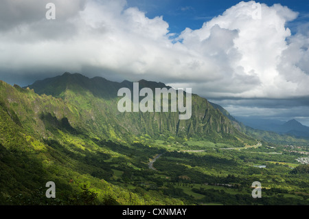 Elk284-1715 Hawaii, Oahu, Nu'uanu Pali Stockfoto