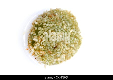 Thai Dessert, Tien-sa-Knospe-Nga, Chewy klebrigen Reis Mehl Knödel gefüllt mit herzhaften Bohnenpaste beschichtet mit Sesam Stockfoto