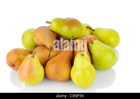 Ein Haufen von Bosc und Bartlett Birnen auf einem weißen Hintergrund. Querformat mit Reflexion. Stockfoto