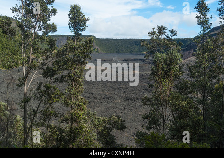 Elk284-2374 Hawaii, Big Island, Vulkane Narional Park, Kilauea-Iki-Krater Stockfoto