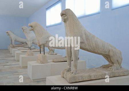 Die Delos-Löwen im Delos Museum, archäologische Stätte von Delos, Delos, Cyclades, South Aegean Region, Griechenland Stockfoto