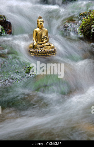 Buddha sitzt im fließenden Wasser Stockfoto