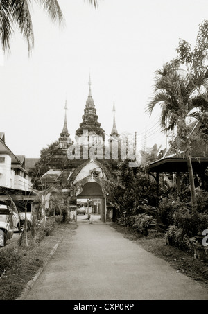 Buddhistischen Tempel Wat Suan Dok in Chiang Mai in Thailand in Fernost Südostasien. Buddhismus Religion thailändische Stupa chedi Reisen b&w Stockfoto