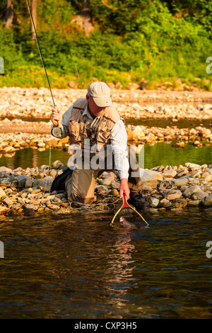 Angler-Netze eine Forelle gefangen Fliegenfischen in einem Bergsee in der Tschechischen Republik. Stockfoto