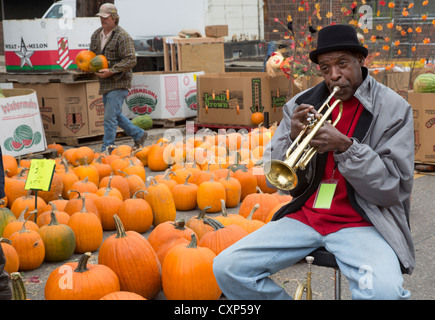 Ein Mann spielt seine Trompete inmitten der Kürbisse am Verkauf im osteuropäischen Markt in Detroit Stockfoto