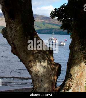 Boot und Baum am Ufer des Loch Lomond Stockfoto