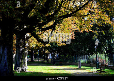 Eine ruhige Ecke der großen Bäume und Blätter fallen. Den Haag, Niederlande. Stockfoto