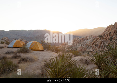 Sonnenaufgang in Joshua Tree mit zwei Zelte eingerichtet. Stockfoto