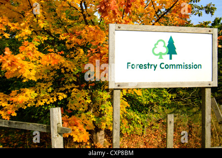 FORSTWIRTSCHAFT KOMMISSION SCHILD MIT GOLDENEN HERBSTFARBEN IM HINTERGRUND. Stockfoto