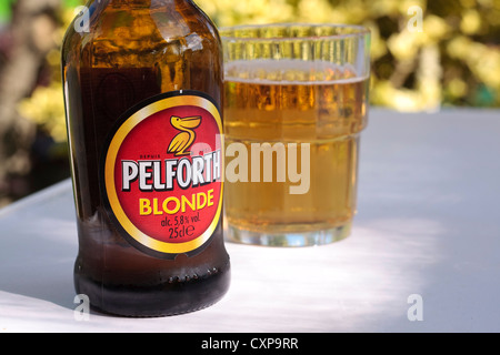 Pelforth (Französisch) Bierflasche und Glas Bier Stockfoto