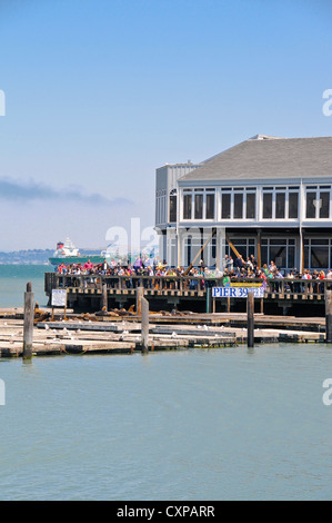 Seelöwen am Pier 39 - San Francisco anzeigen Stockfoto