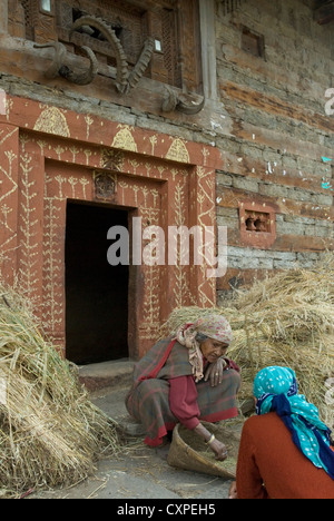 Zwei Frauen sprechen, da sie die Weizenernte in Aleo Dorf, Manali, Nordindien verarbeiten Stockfoto