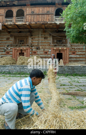 Dorfbewohner bereiten Stroh zur Lagerung bei Aleo Vilage, Manali Nordindien Stockfoto