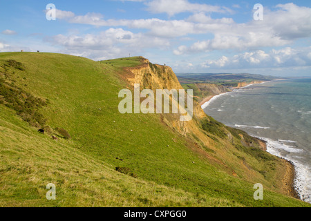 Dorset Küste Blick nach West Bay und Chesil Beach die Route von der Süd-West Küste Weg. Stockfoto