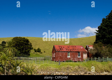 Eine alte Schaffarm in der Landschaft von Neuseeland Stockfoto