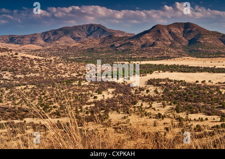 Limpia Berg- und Blue Mountain in Davis Mountains, gesehen vom Highway 118 bei Sonnenuntergang, in der Nähe von Fort Davis, Texas, USA Stockfoto