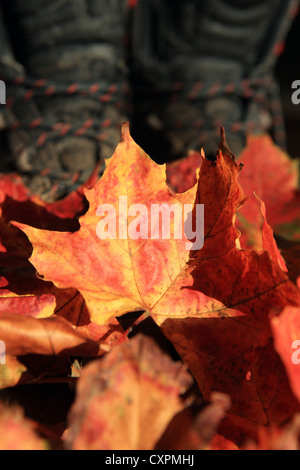 Herbstlaub mit Bergwandern Stiefel im Hintergrund Stockfoto