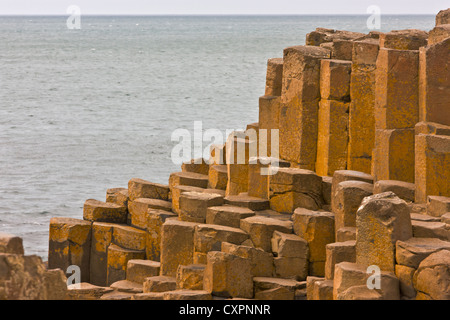 Basalt-Rock-Formation, Giant es Causeway, County Antrim, Nordirland, Vereinigtes Königreich, Europa Stockfoto