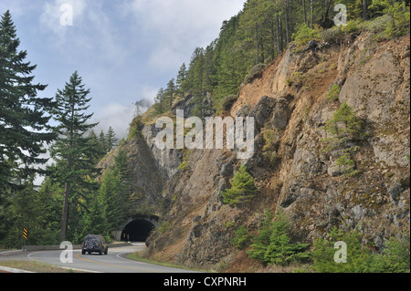 Der Weg zum Hurricane Ridge, Olympic Nationalpark, WA 090908 34692 Stockfoto