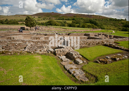 Die ausgegrabenen römischen Armee-Website unter Vindolanda, Bardom Mühle. Northumberland.  SCO 8627 Stockfoto