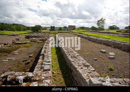 Ausgegrabene Fundamente des römischen Militärlagers Gebietes auf Vindolanda, Northumberland. England.  SCO 8632 Stockfoto