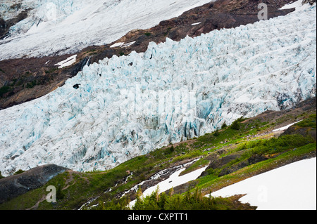Die schrumpfenden Coleman Glacier gesehen von den Heliotrop Höhenweg am Fuße des Mt. Baker in den westlichen US-Bundesstaat Washington, USA. Stockfoto