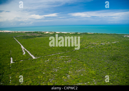 Luftaufnahme der Küste, Quixaba, Ceará, Brasilien - Canoa Quebrada Strand Stockfoto