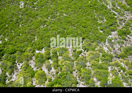 Luftaufnahme der Küste, Quixaba, Ceará, Brasilien - Canoa Quebrada Strand Stockfoto