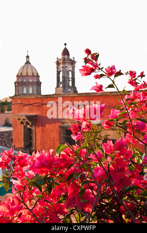 Gibt mit Blick auf San Miguel de Allende's Templo De La Concepcion (Immaculate Conception Church Glockenturm und Kuppel Stockfoto