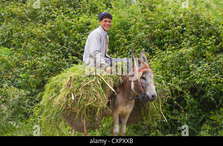 Mann reitet auf Esel, Marokko Stockfoto